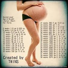 Found This Twin Weight Chart Babycenter