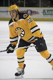 .pastrnak greg mckegg jack studnicka jack ahcan jake debrusk jakub zboril jaroslav halak jarred tinordi jeremy swayman jeremy lauzon john moore karson kuhlman kevan miller matt. David Pastrnak Wikiwand