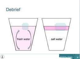 Ice Cubes Melting In Fresh Water And Salt Water Post 2 4 Ice Cube Melting Salt And Water Fresh Water