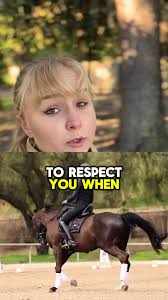 How to Teach A Horse to Respect Treats