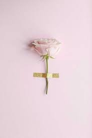 Pink Flowers And Aesthetic Image Pastel Pink Aesthetic Pink Aesthetic Pink Wallpaper Find & download free graphic resources for rose pastel. pastel pink aesthetic