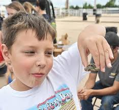 Teddy' McNair wins fair turtle races