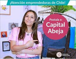 Dicho aporte corresponderá a un porcentaje del subsidio sercotec. Capital Abeja Sercotec Fondos Participativos