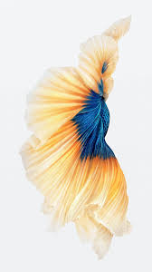See more ideas about cute wallpapers, cartoon wallpaper, cute cartoon wallpapers. Nice Wallpapers Ios 9 Theme For Android Apk Download
