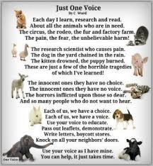 Lynncarin Ladyseastar My Mission To Help End Animal Cruelty Suffering My Care2 Animal Rights Animals Endangered Animals