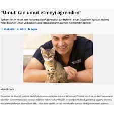 Basinda Biz Cat Hospital Resmi Web Sitesi