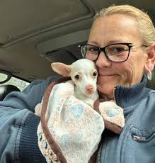 What if….. every Monday was pup cup day…. Pearl of the day