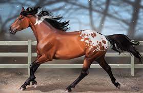 Sol Ace By Aomori On Deviantart Horses Horse Wallpaper Horse Love