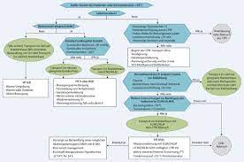 Akzidentelle Hypothermie Springerlink