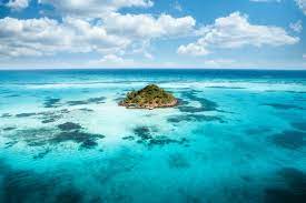 Interview with directors notes about the creation of the film: 500 Tropical Island Pictures Hd Download Free Images On Unsplash