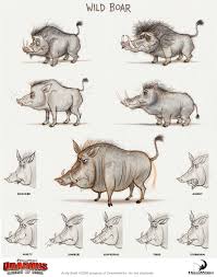 Look A Distraction Koko Chan Evans Dragons Riders Of Berk Character Design Animal Sketches Animal Illustration