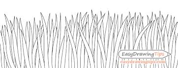 Grass close up drawing directions. How To Draw Grass In 3 Different Ways Tutorial Easydrawingtips