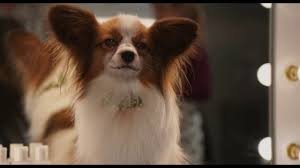 Show Dogs 2018 Official Trailer Youtube
