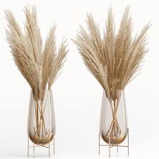 Big Dried Flower Pampas Grass In Glass Vase 5 3d Model