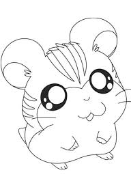 Search through 623,989 free printable colorings at getcolorings. Hamster Coloring Pages Learny Kids