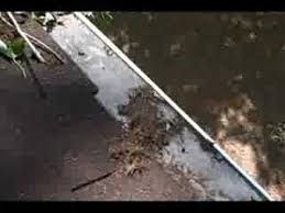 Gutter guards are devices that prevent leaves, pine needles, twigs, and other debris from entering the gutter and interfering with water flow to keep gutters working smoothly. Gutter Guard Test Results Youtube