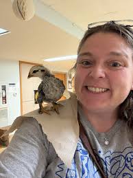 Bantam rooster meets new chicks