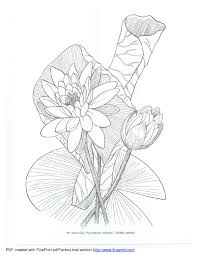 american wild flowers flower drawing wild flowers flowers