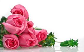 how to make an interesting art piece using tree branches ehow rose flower wallpaper pink rose bouquet flower wallpaper