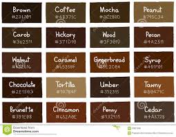 Brown Tone Color Shade Background With Code And Name Stock Vector Image 63821699 Shades Of Brown Paint Brown Color Palette Brown Paint Colors