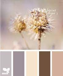 Here's our list of colours that go well with brown. To Match Our Chocolate Brown Couch Click Image To Find More Home Decor Pinterest Pins Chocolate Brown Couch Living Room Colors Design Seeds