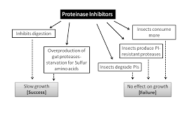 Evaluating potential of genes moving to other plants. Biotechnological Approaches For The Control Of Insect Pests In Crop Plants Intechopen