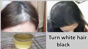 I understand due to premature graying, our hair gets white. How To Turn White Hair Into Black Hair Naturally Youtube