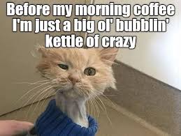 We get to do nothing all day but rest, east some snacks, check out some funny cat memes, rest some more, possibly attempt to clean ourselves using our tongues, and check out more pawsome cat memes. Pin By Tina K On Coffee Addict Funny Animal Memes Funny Cat Memes Funny Animals
