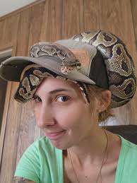 Reticulated scorpion relaxing