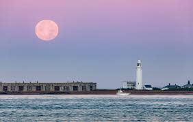You can see april's pink moon, the first supermoon of 2021, on april 26 at 11:32 p.m. Srfg4shuljbycm