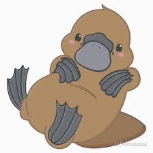 Cute Kawaii Platypus Sticker By Billiekeeses Cute Australian Animals Cute Animal Drawings Cute Drawings
