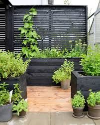 Basilikum Petersilie Oder Rosmarin Zu Pflegen Ist Fur Unerfahrene Gartner Eine Herausforderung Mit Diesen Einfachen Tipps Geht S Eure Backyard Plants Garden