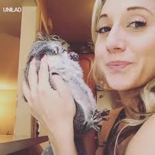 Big Squirrel Gets All The Snuggles