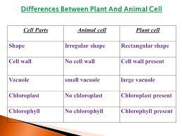 Check spelling or type a new query. 10 Cmh Human And Social Biology Cells Crated By Reynaldo Thomas Ppt Video Online Download
