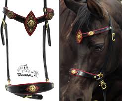 After the invention of the bit, the noseband was, in some cultures, demoted to a halter worn beneath the bridle that allowed the rider to remove the bit from the horse's mouth after work and leave a restraining. Sidepull Trust
