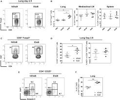 Frontiers Escherichia Coli Heat Labile Enterotoxin B