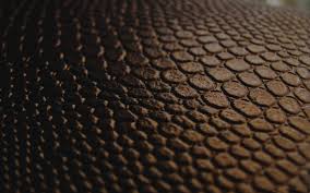 Not for commercial use, please. Free Download Black Snake Skin Wallpaper 2880x1800 For Your Desktop Mobile Tablet Explore 30 Skin Wallpapers Skin Wallpapers Nova Skin Wallpapers Wallpaper Nova Skin
