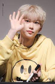 Pin By On Stray Kids Felix Stray Kids Stray Felix