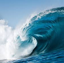 Here are 15 quotes about the ocean to remind us the importance to protect it: 25 Inspiring Ocean Quotes Short Quotes About Ocean Waves