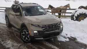 Image result for California Sand 2023 Santa Cruz