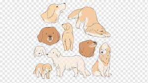 Golden retriever kunst perros golden retriever golden retrievers dog vector vector art vector graphics art and illustration cat dog tattoo foto. Cartoon Golden Retriever Illustration Cartoon Hand Painted Png Pngwing
