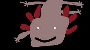 Axolotl care is a little different than that of the aquarium fish you might be used to. You Guys Like My Axolotl Drawing