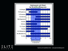 Ideal Ph For Cannabis Talentiincircolo Org