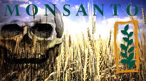 Risultati immagini per monsanto