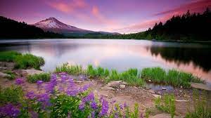Imagenes gratis para descargar y compartir en redes sociales miles de imagenes para compartir. Pin On Japon