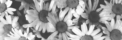 Aesthetic Classy Black And White Cover Photos For Facebook Random B W Headers 1500x500 Twitter Header Quotes Cute Twitter Headers Twitter Header Trippy