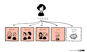 Organizational Structure Large Scale Scrum Less