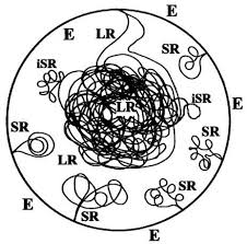 2.1 eukaryotic cell structures and functions. Prokaryotology Chapter Ii Major Characteristics Of The Prokaryotic World Presses De L Universite De Montreal