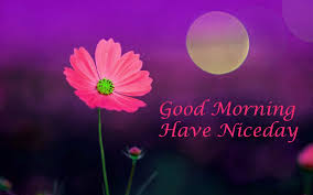 Good morning flower images for whatsapp. Good Morning Flowers Wallpapers Wallpaper Cave