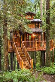The best trees include maple, oak, fir, beech and hemlock. Treehouses Natural Building Forum At Permies Tree House Diy Tree House Designs Cool Tree Houses